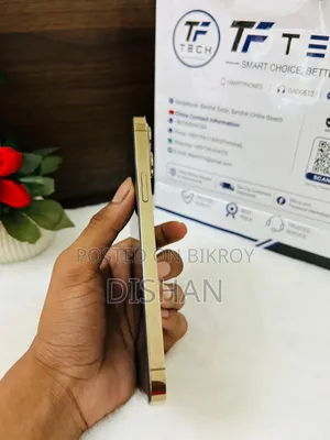 Apple iPhone 13 Pro Max 128 GB Rose Gold