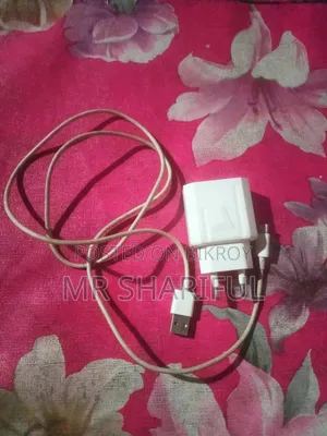 Type C Charger