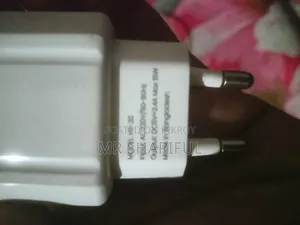 Type C Charger