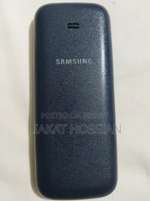 স্যামসাং বি৩১০ ব্লু