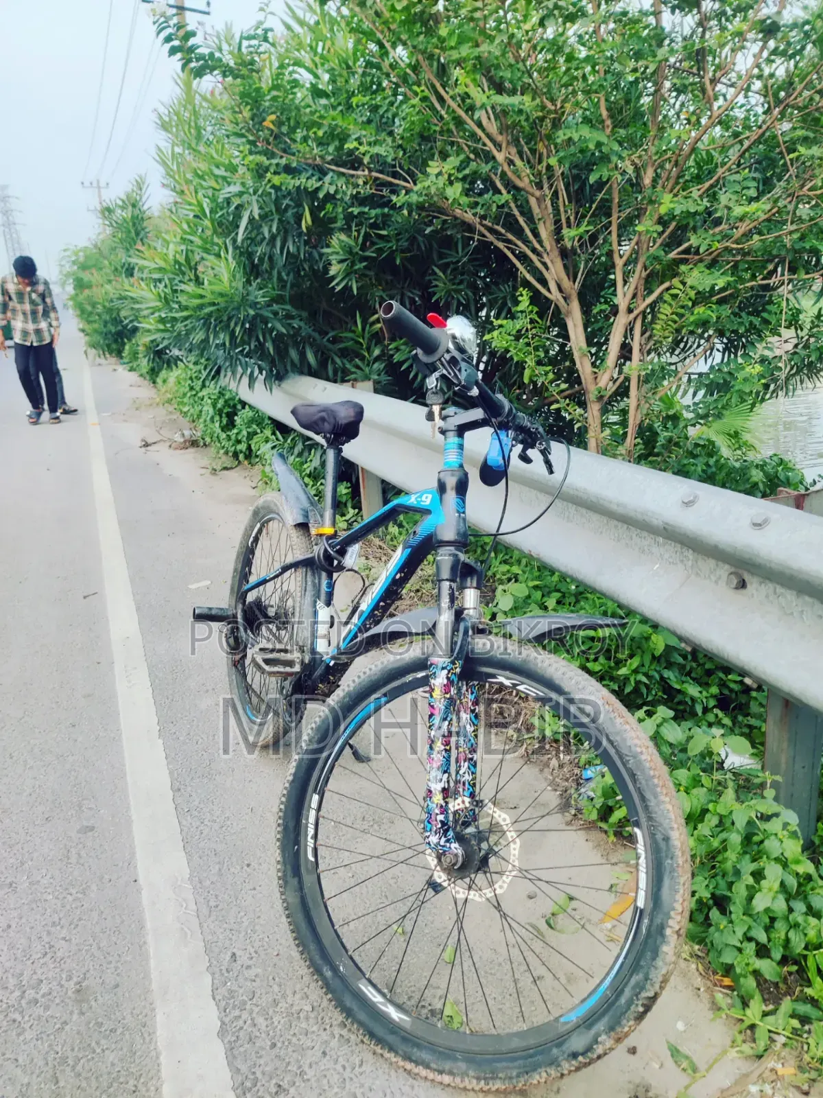 Phoenix Cycle