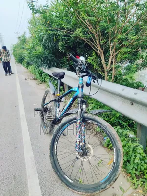 Phoenix Cycle