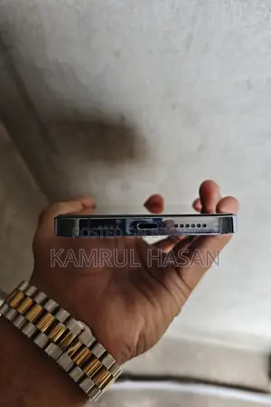 অ্যাপল আইফোন ১৩ প্রো ম্যাক্স ১২৮ জিবি ব্লু