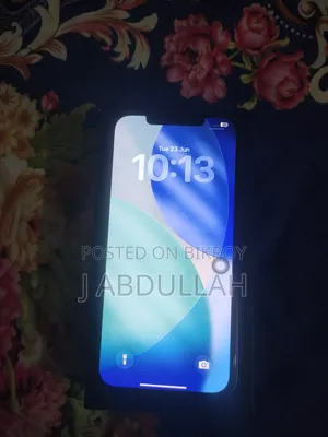 অ্যাপল আইফোন ১২ প্রো ম্যাক্স ২৫৬ জিবি নীল