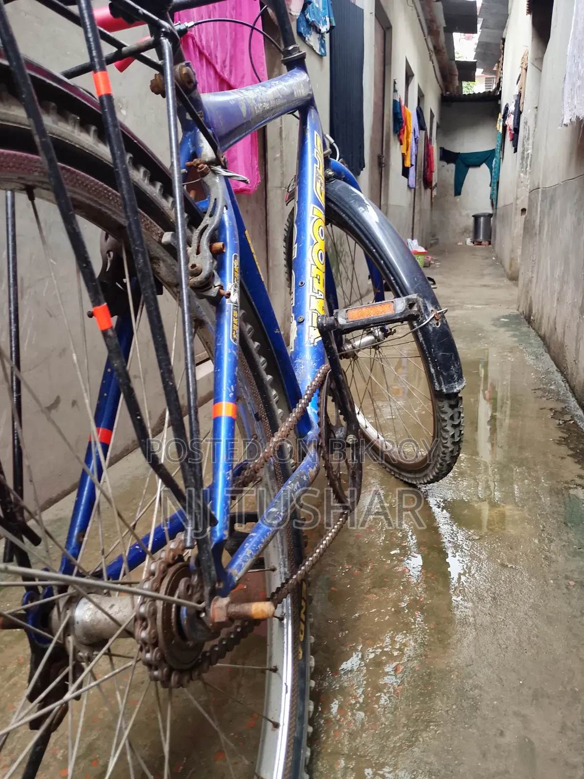 Cycle Sale