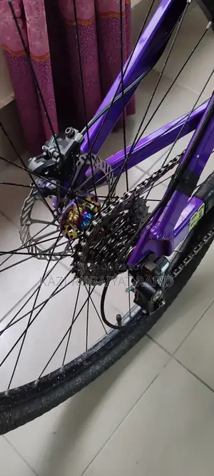 Boarse Sun 6.0 Stunt Build Up for Sale