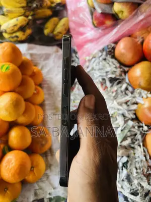 অ্যাপল আইফোন ১৩ প্রো ২৫৬ জিবি ব্ল্যাক