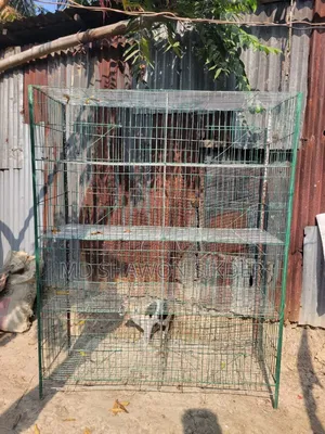 Pigeon cage with 8 compartments and 8 trays