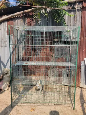 কবুতর এর খাঁচা ৮ খোপ টেরে ও ৮ পিস আছে