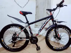 Phoenix Mountain Cycle, 26-inch Used but Good Condition