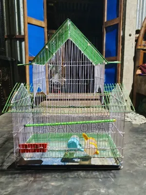 Bird cage