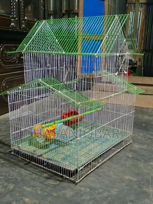 Bird cage