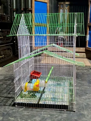 Bird cage