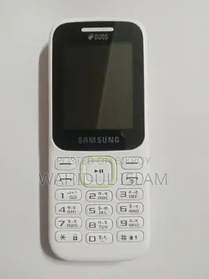 New Samsung Guru Music 2 White