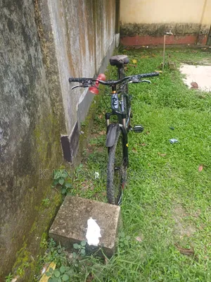 Non-Gear Bicycle