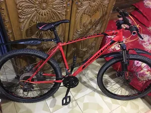 Seventy One Cycle