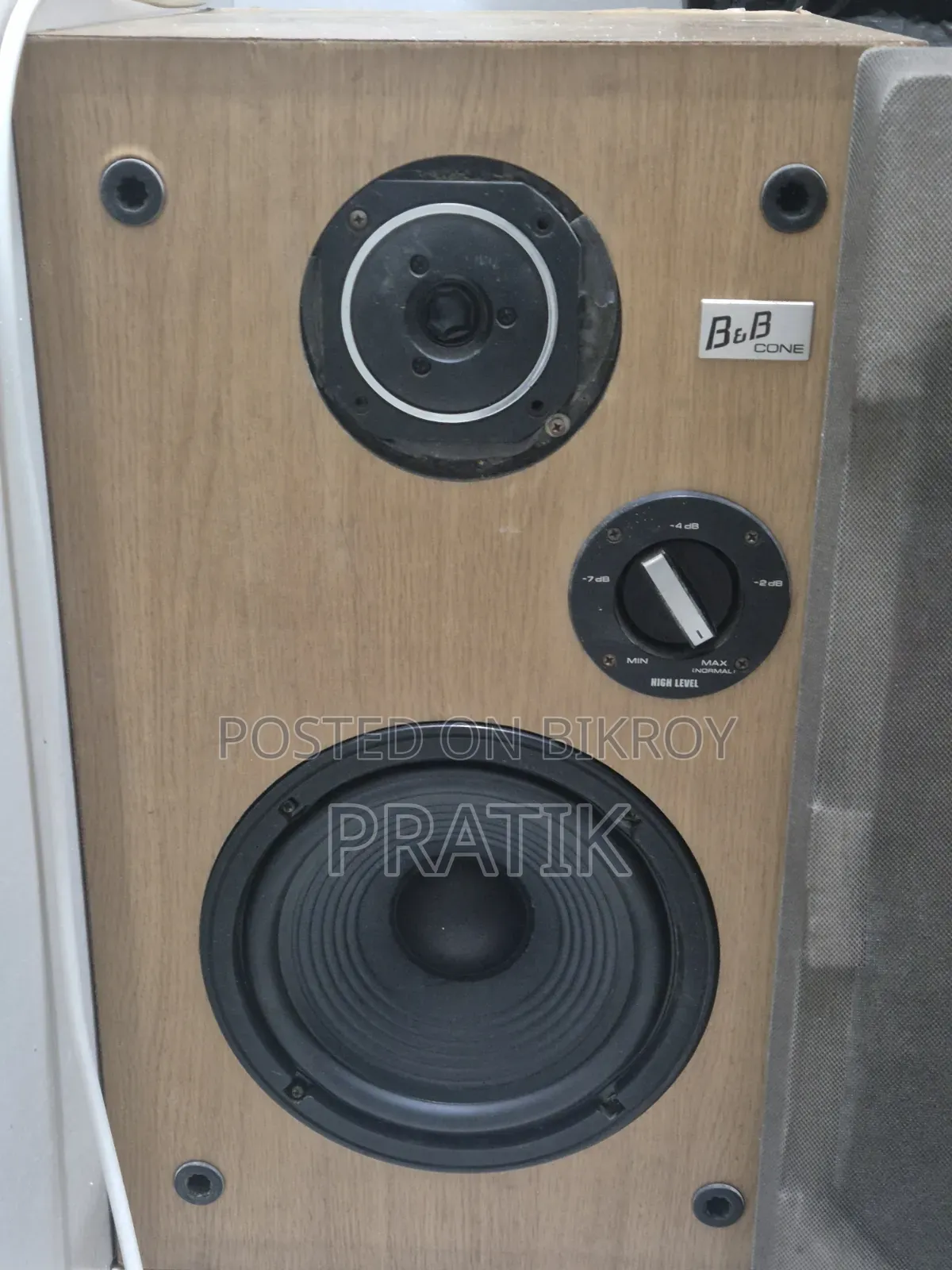 Bookself Vintage Speaker