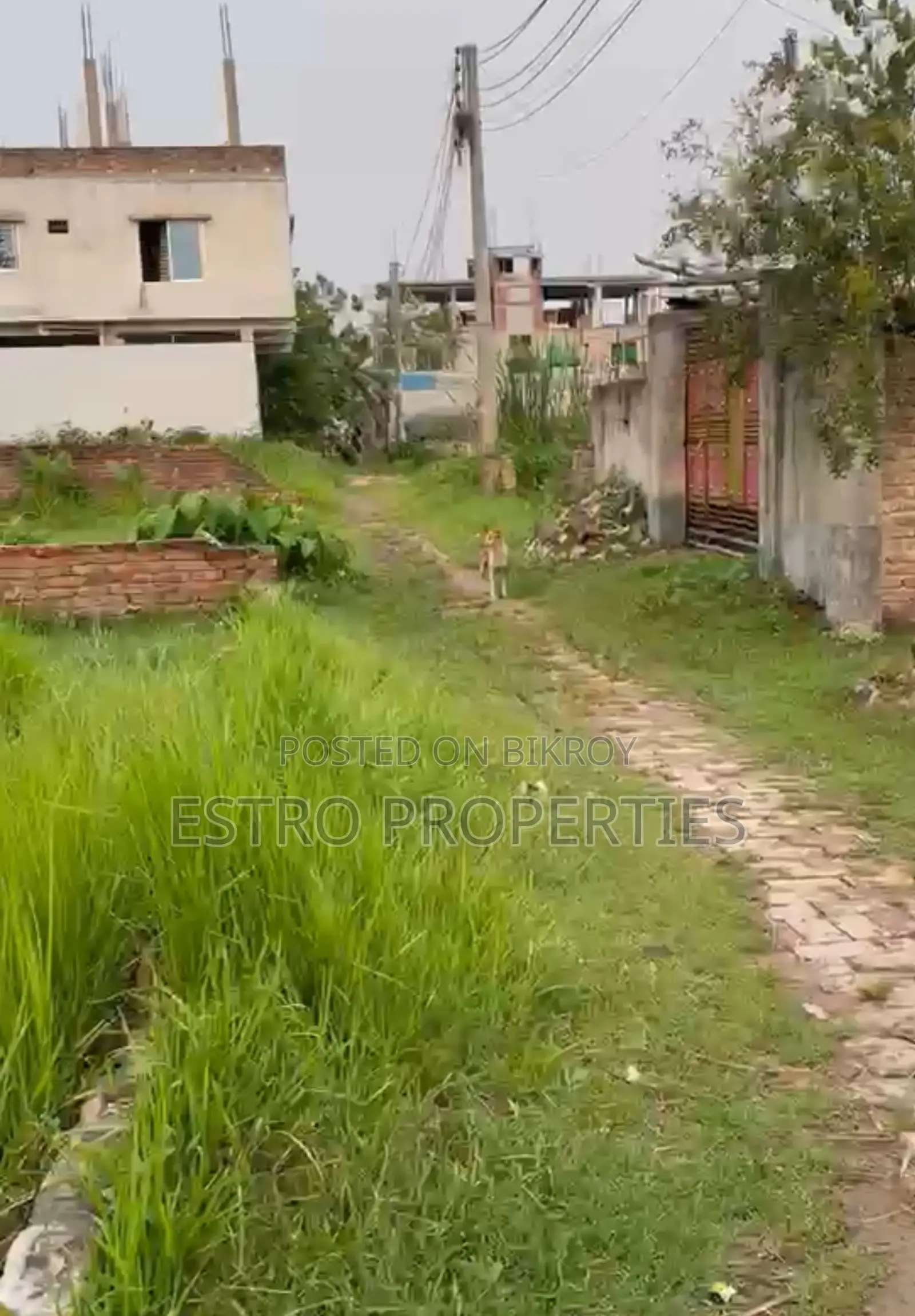 ৩.৫ শতক মুজগুন্নী নেভী স্কুলের পশ্চিম পাশে জমি বিক্রি হবে