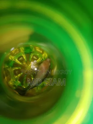 বার্ড এন্ড ফিশ