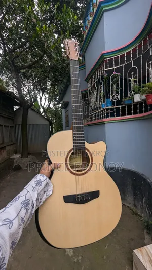 সেরা একটা গিটার সাউন্ড পুরাই