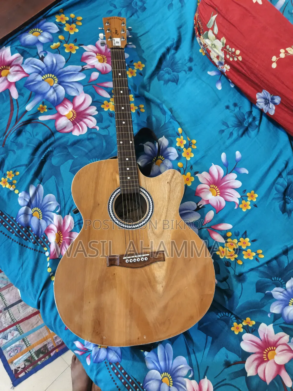 Acoustic Guitar, Semi-Electric