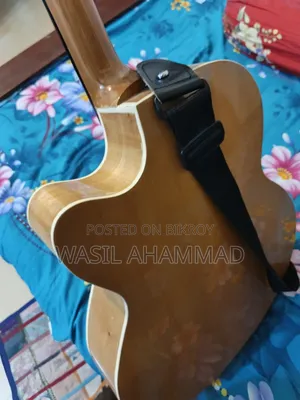 Acoustic Guitar, Semi-Electric