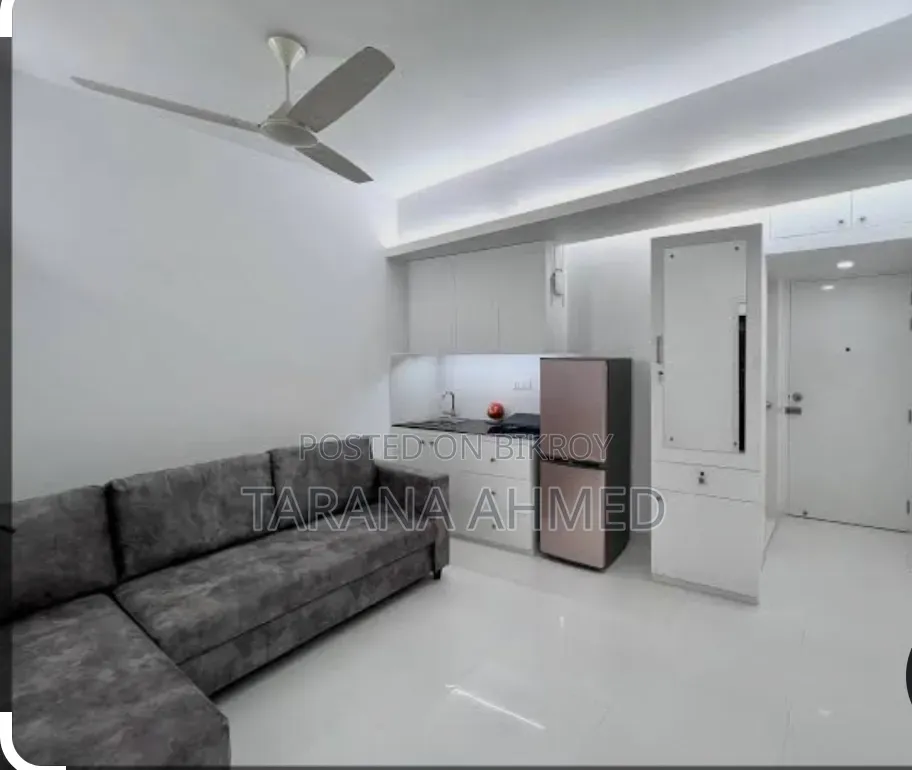 Furnished Studio Apartment in Belanil, Basundhara for Rent