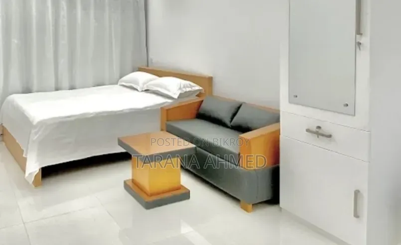 Furnished Studio Apartment in Belanil, Basundhara for Rent