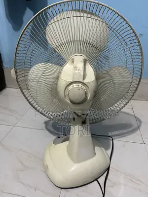 Charger Fan for Sale