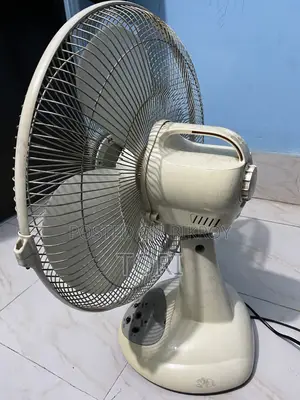 Charger Fan for Sale