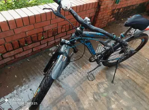 Non-gear Bicycle