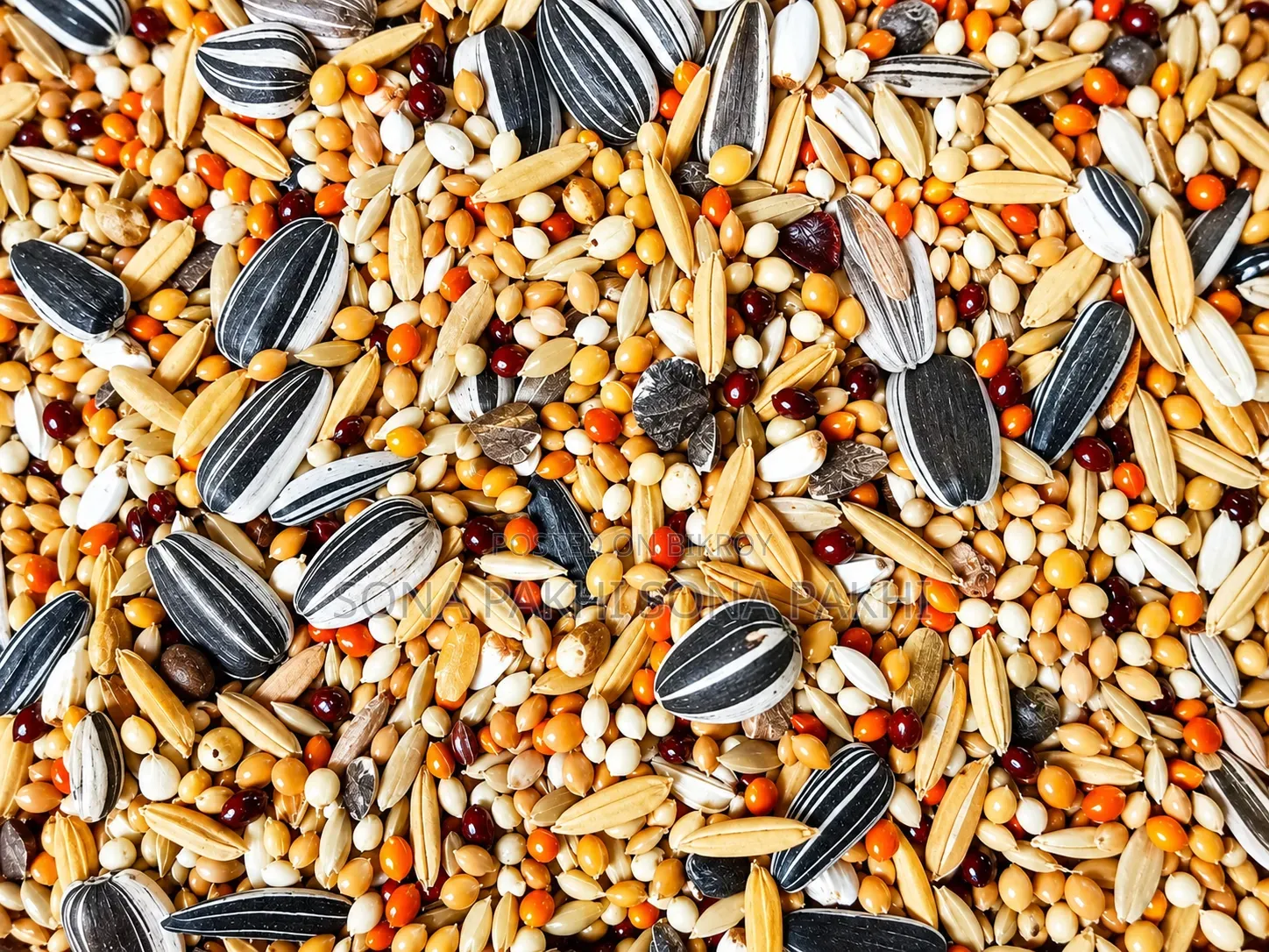 Premium Cockatiel Lovebird Seed Mix | Fresh Clean