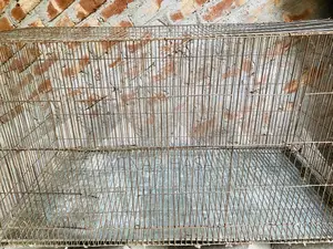 Cocktail Breeding Cage 18-18-36 Size