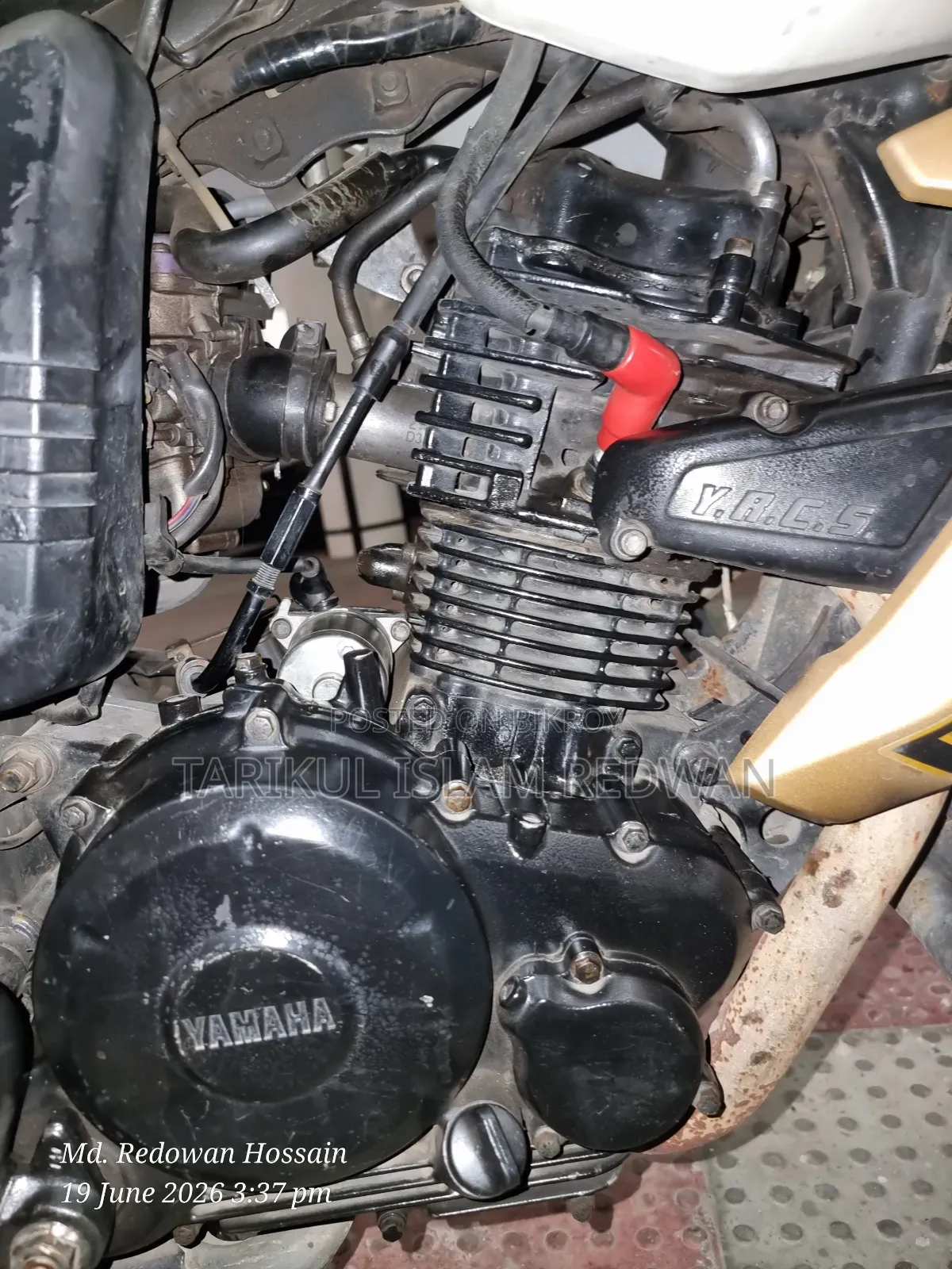 Yamaha FZ 2014 White