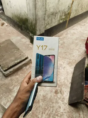 Vivo Y17 256 GB Pink