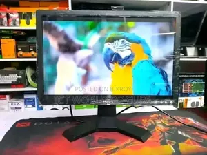 Dell 17" Monitor