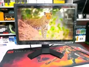 Dell 17" Monitor