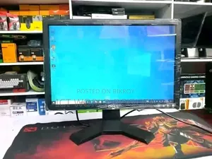 Dell 17" Monitor