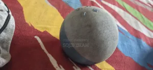 Amazon Alexa, Echo Dot 4th Gen