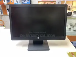 19" Monitor