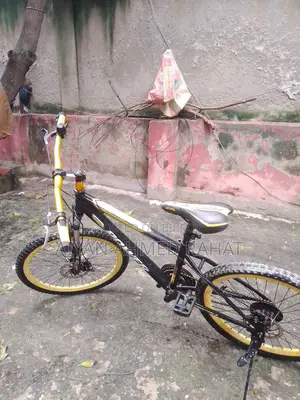 Non-Gear Cycle