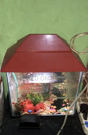 Selling for money