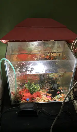 Selling for money