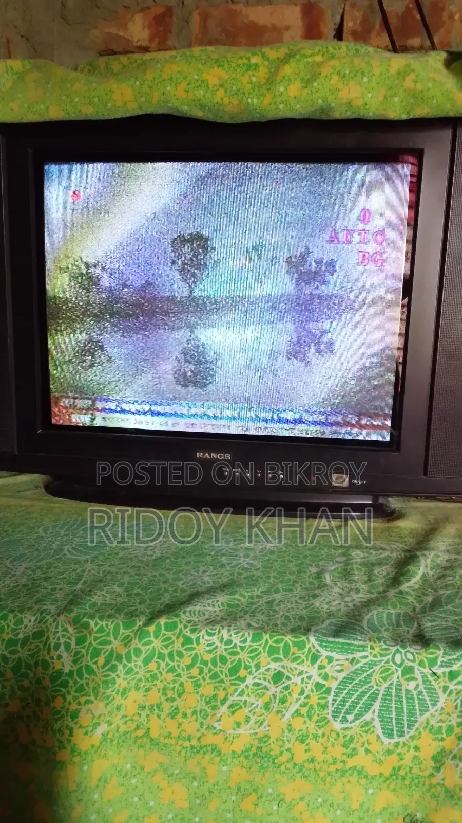 আরএনজিএস ২১" টিভি