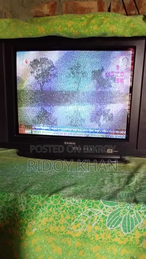 আরএনজিএস ২১" টিভি