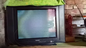 আরএনজিএস ২১" টিভি