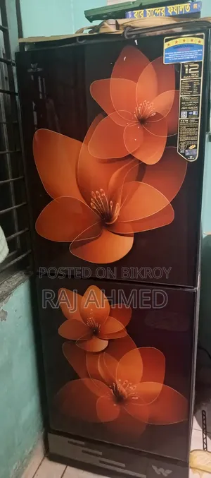 Refrigerator like new