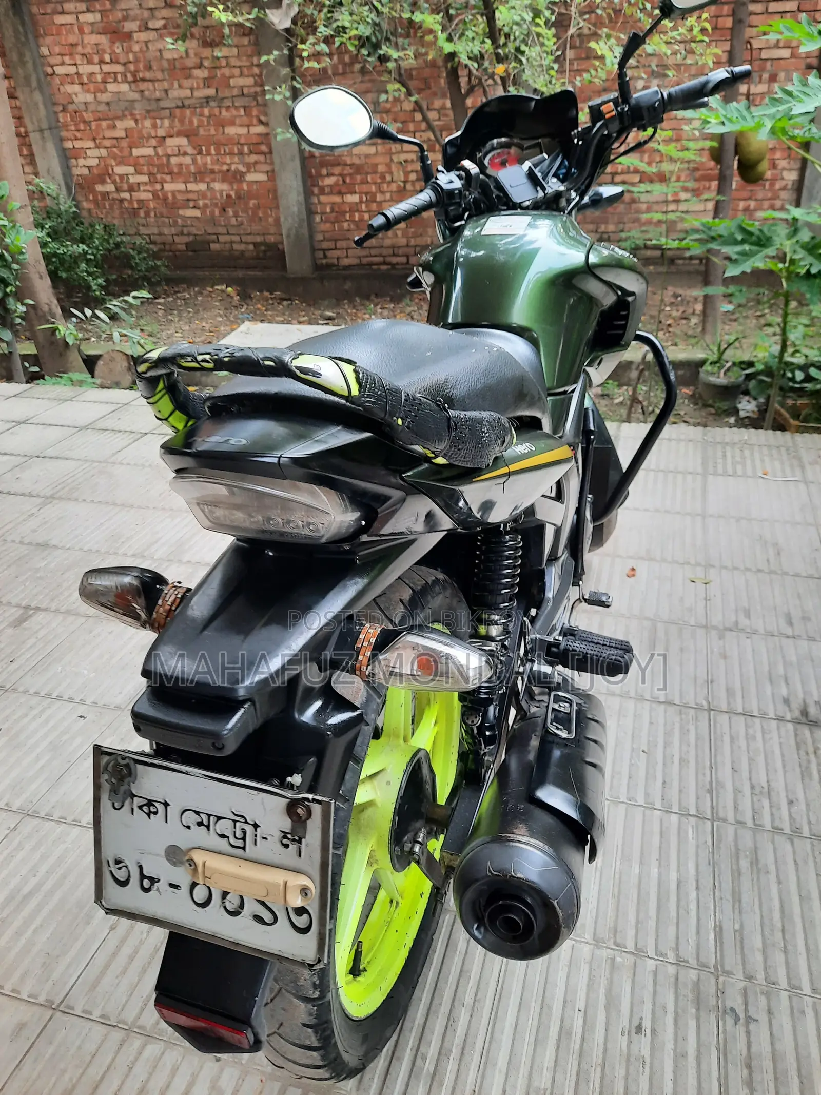 হিরো হাঙ্ক ২০১৮ পার্পল