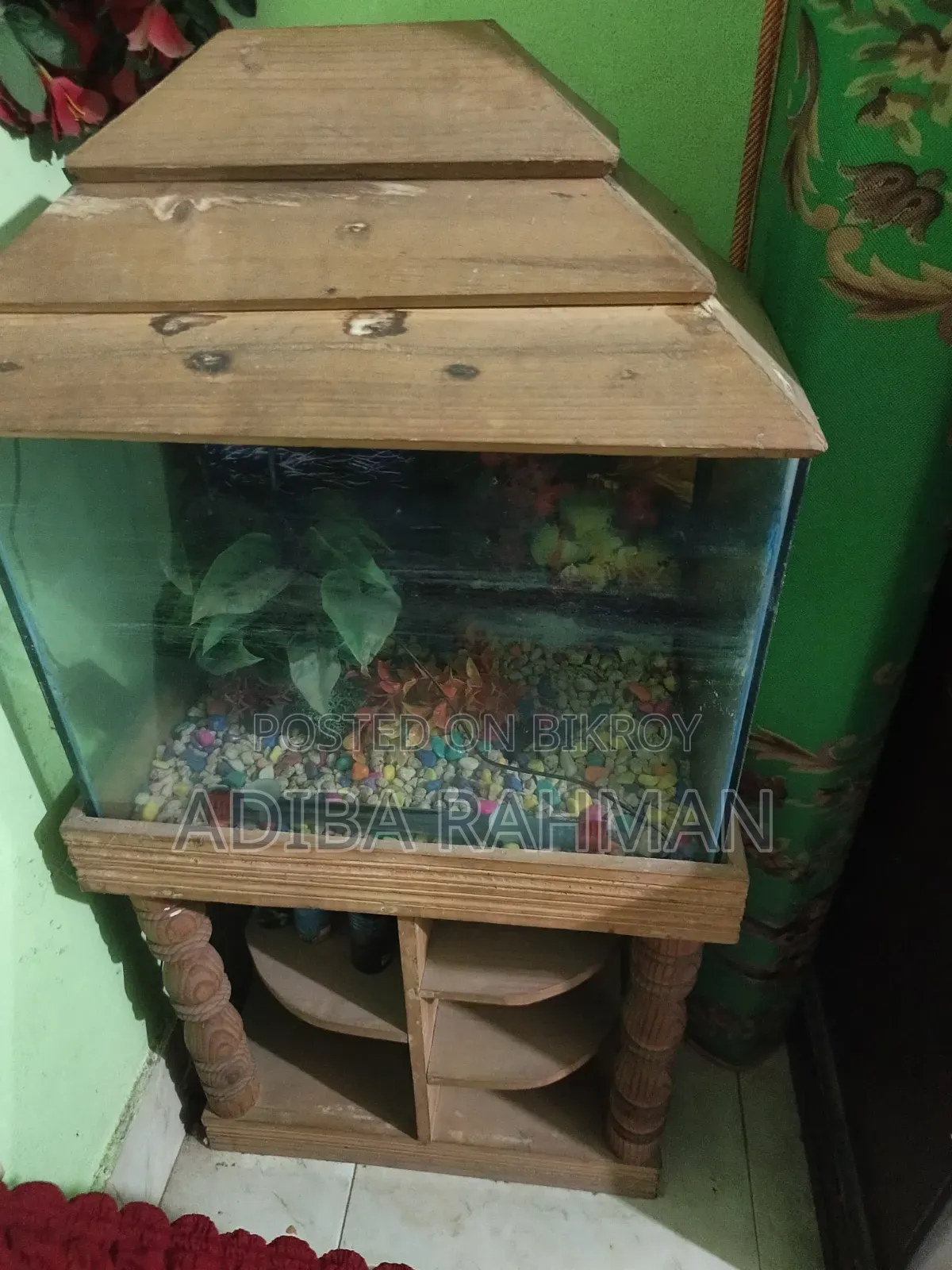 Fish Aquarium