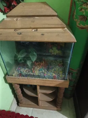 Fish Aquarium